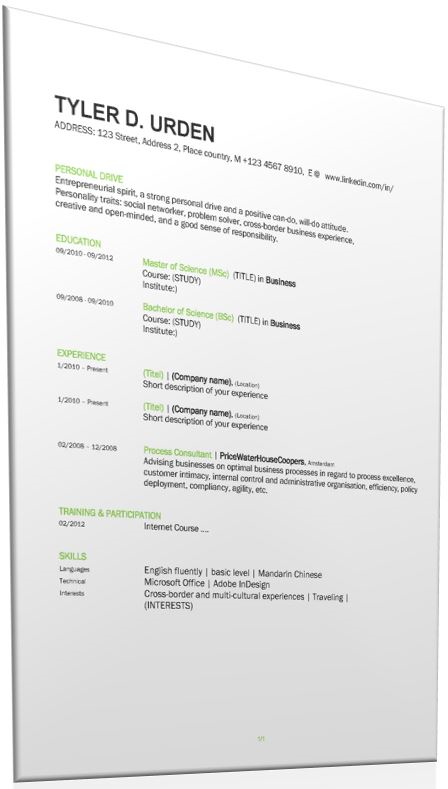 professional resume template voorbeeld afbeelding 