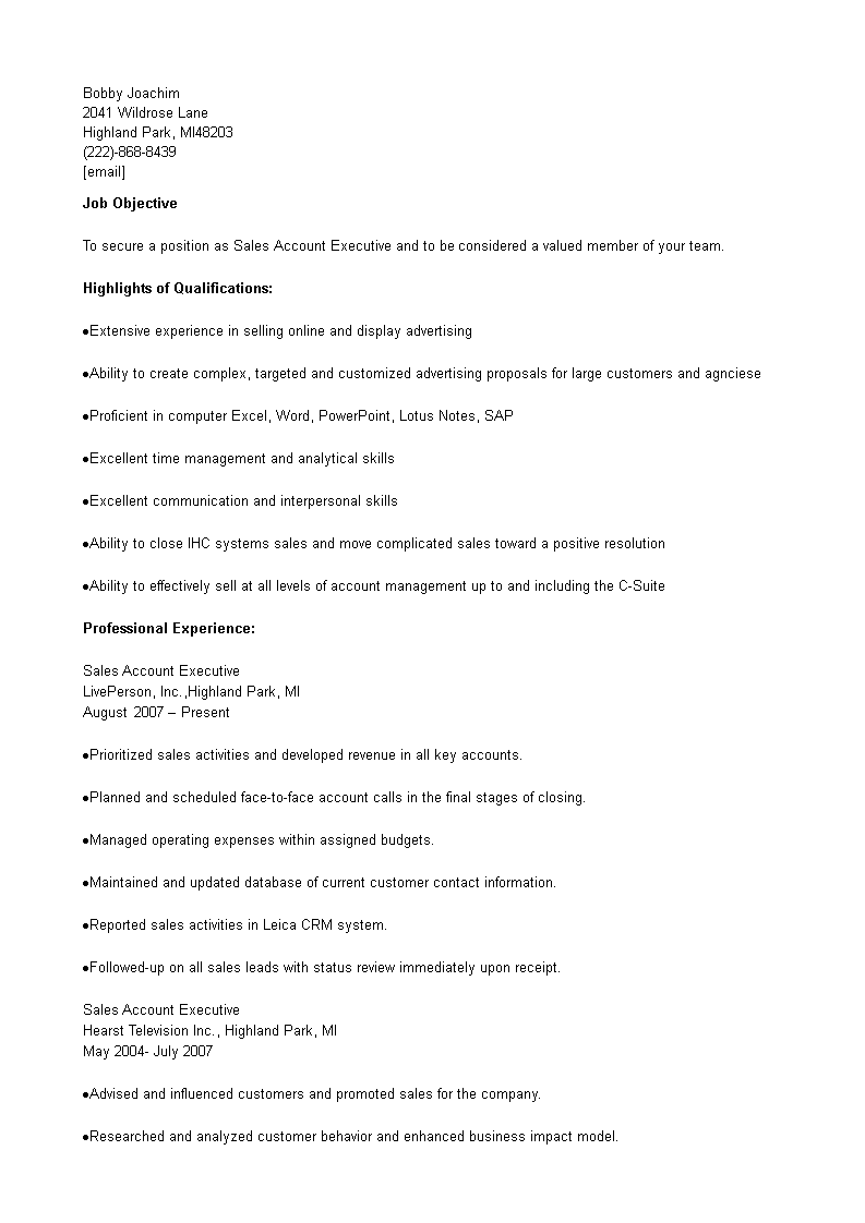 Resume example Sales Account Executive main image