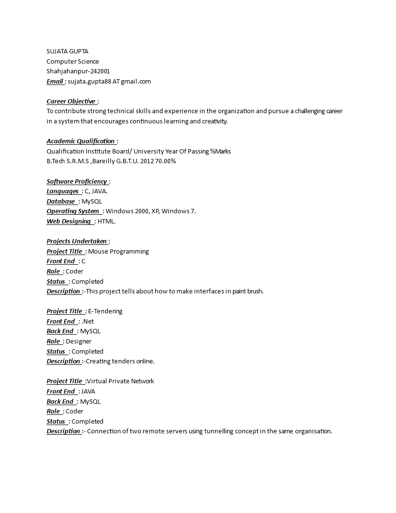 Fresher Java Programmer Resume main image