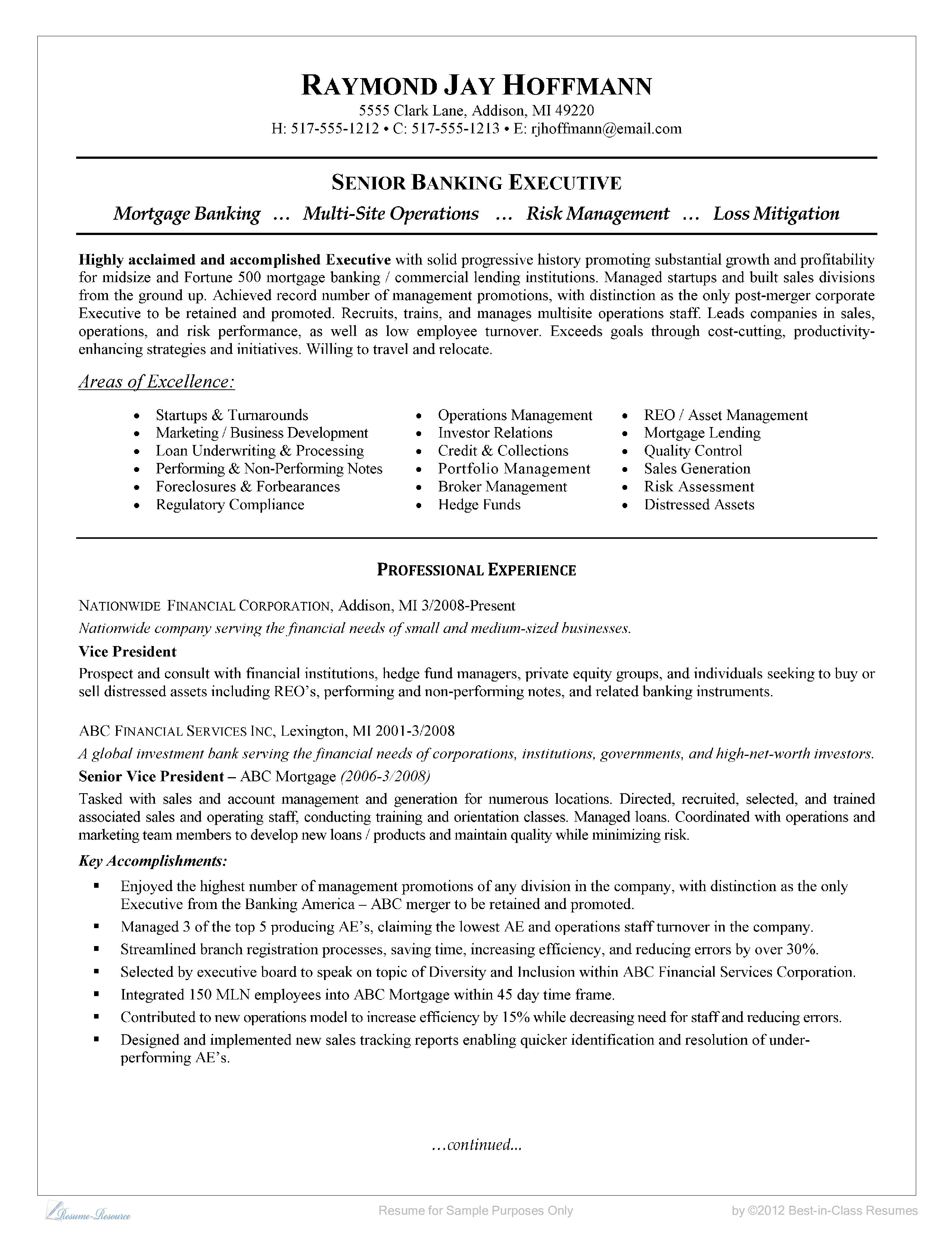 Senior Banking Executive Curriculum Vitae 模板