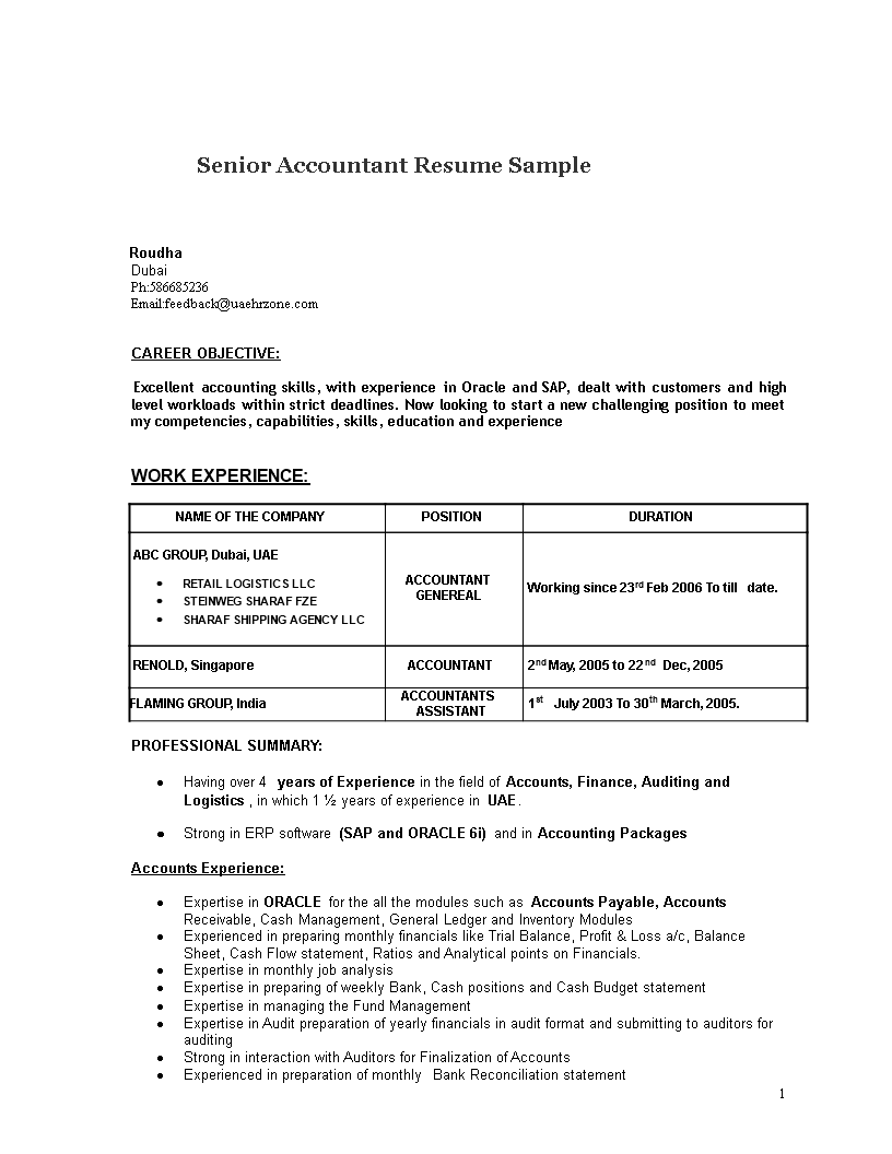 Senior Accountant Resume Sample main image