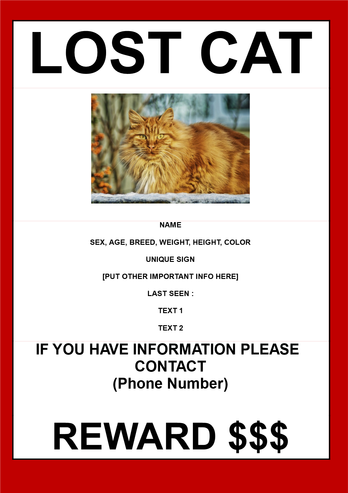 missing cat template with reward a3 size plantilla imagen principal