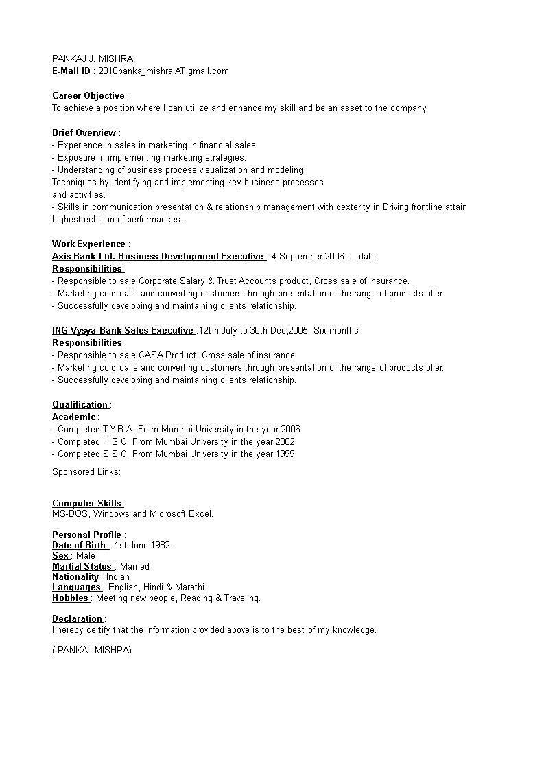 Business Development Executive Resume 模板