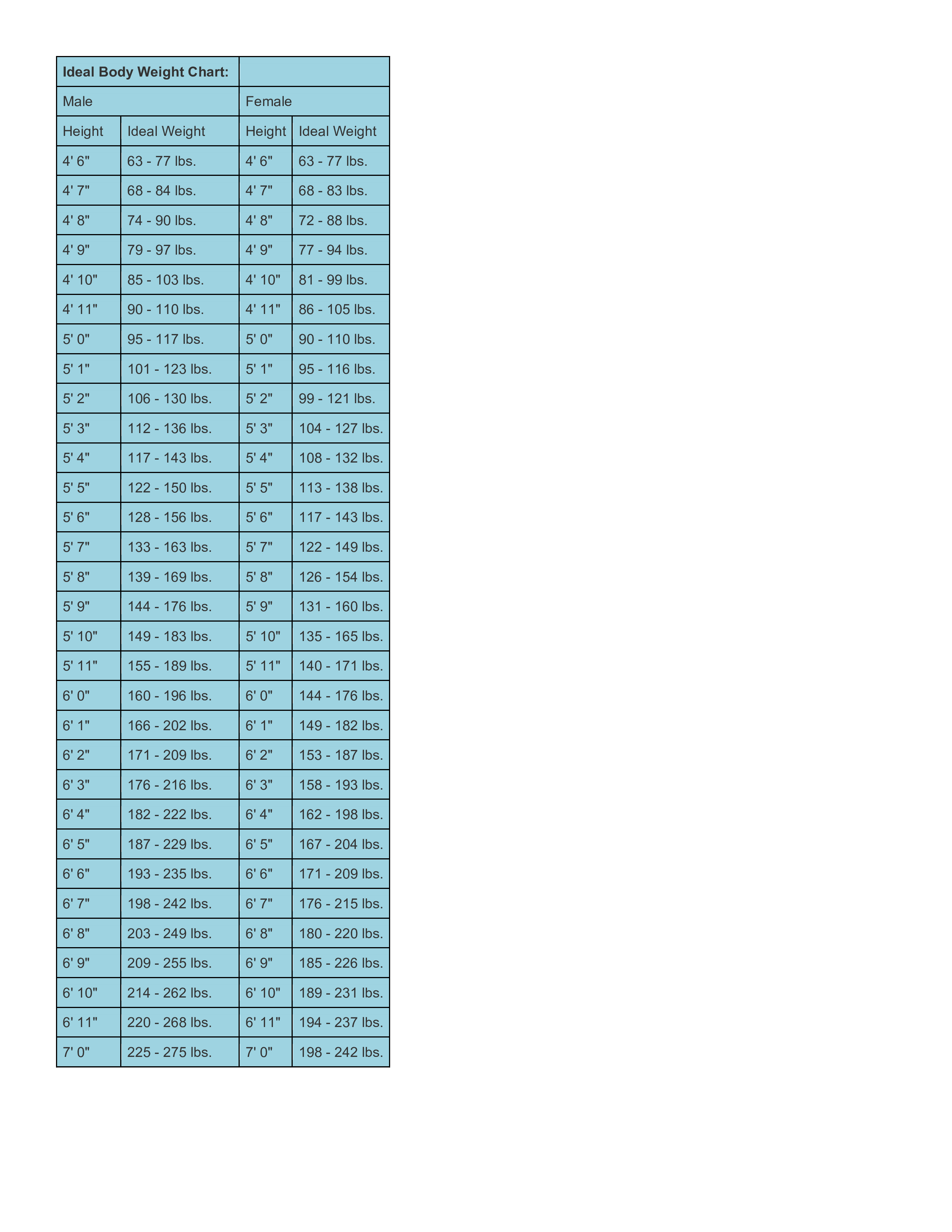 example of body chart Hauptschablonenbild