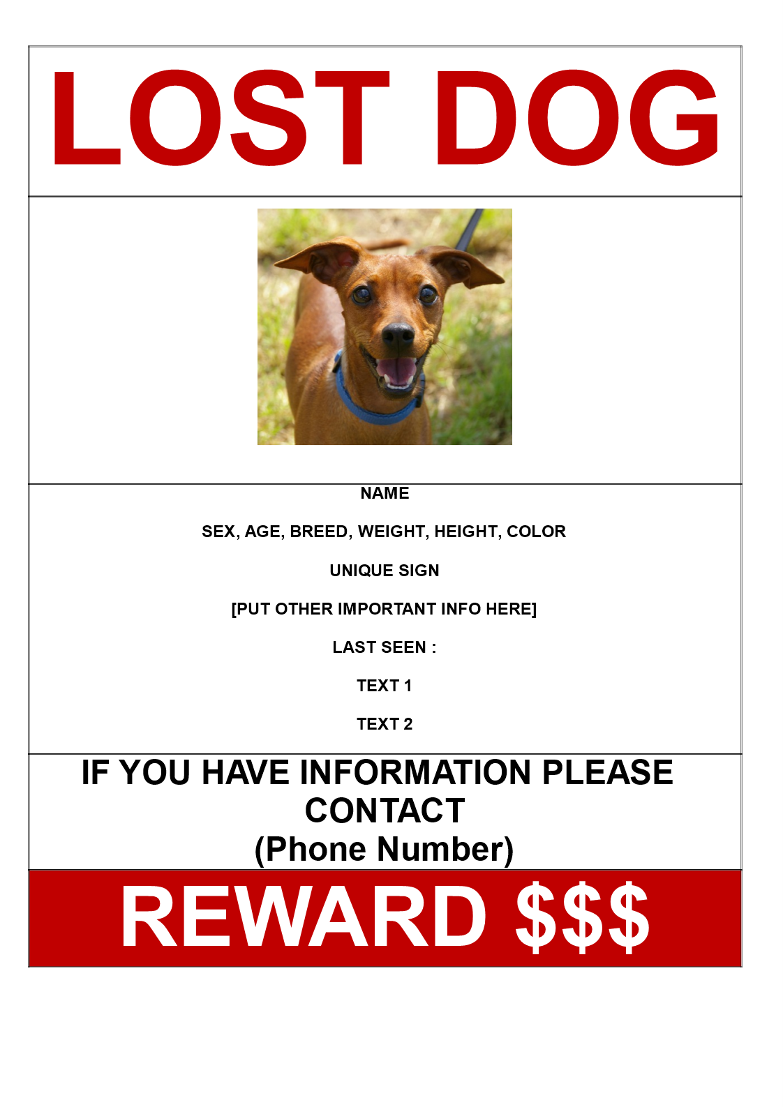 Missing Dog Poster with reward A3 size 模板