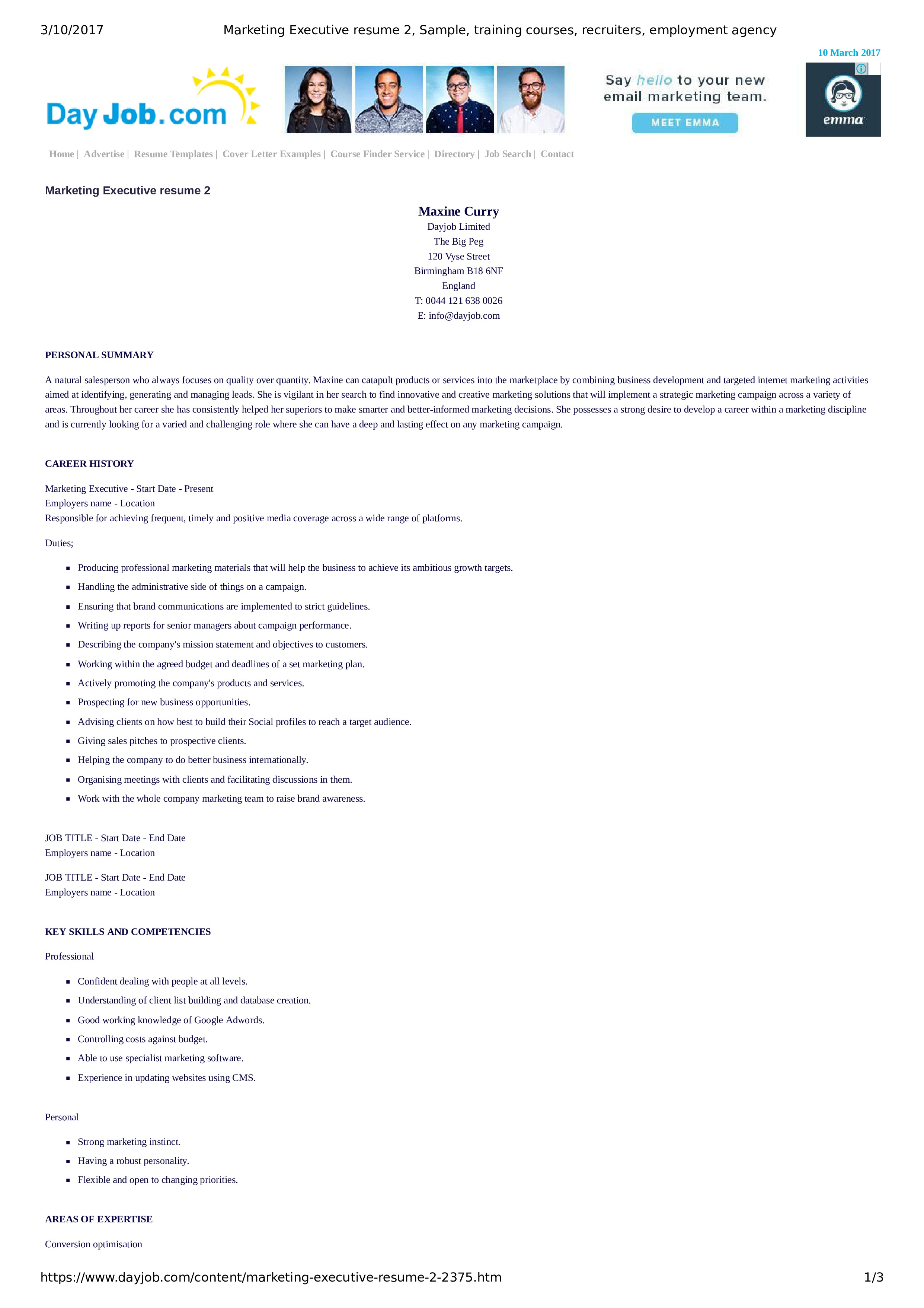 Marketing Executive Resume template main image