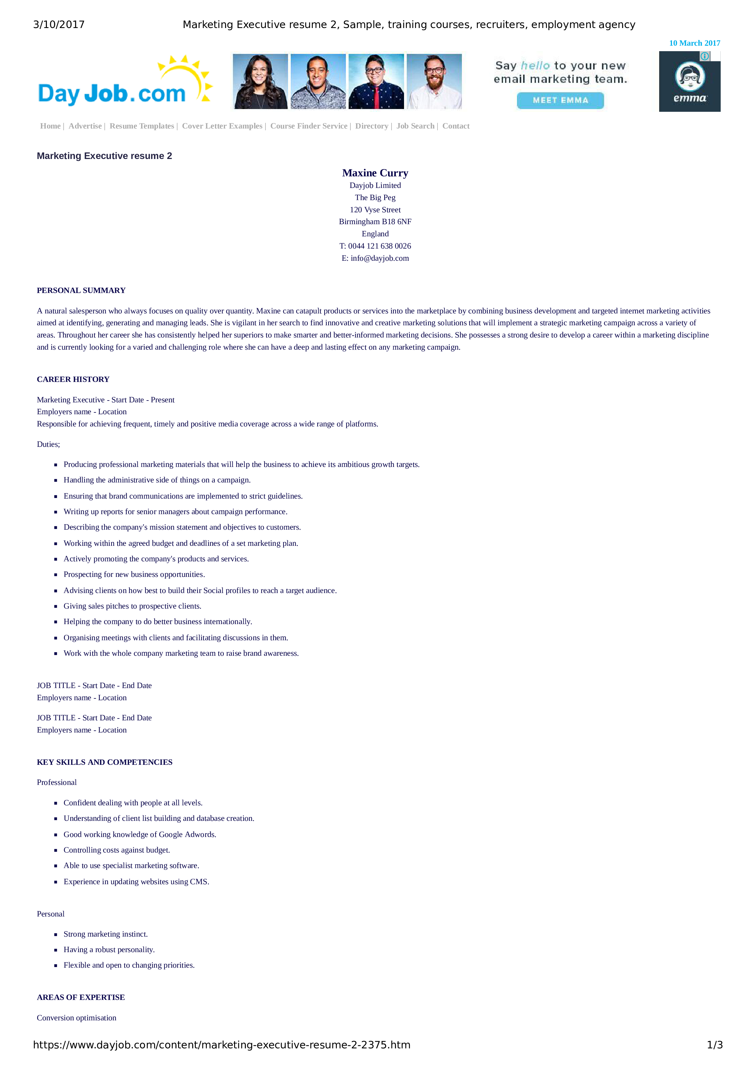 marketing executive resume template voorbeeld afbeelding 