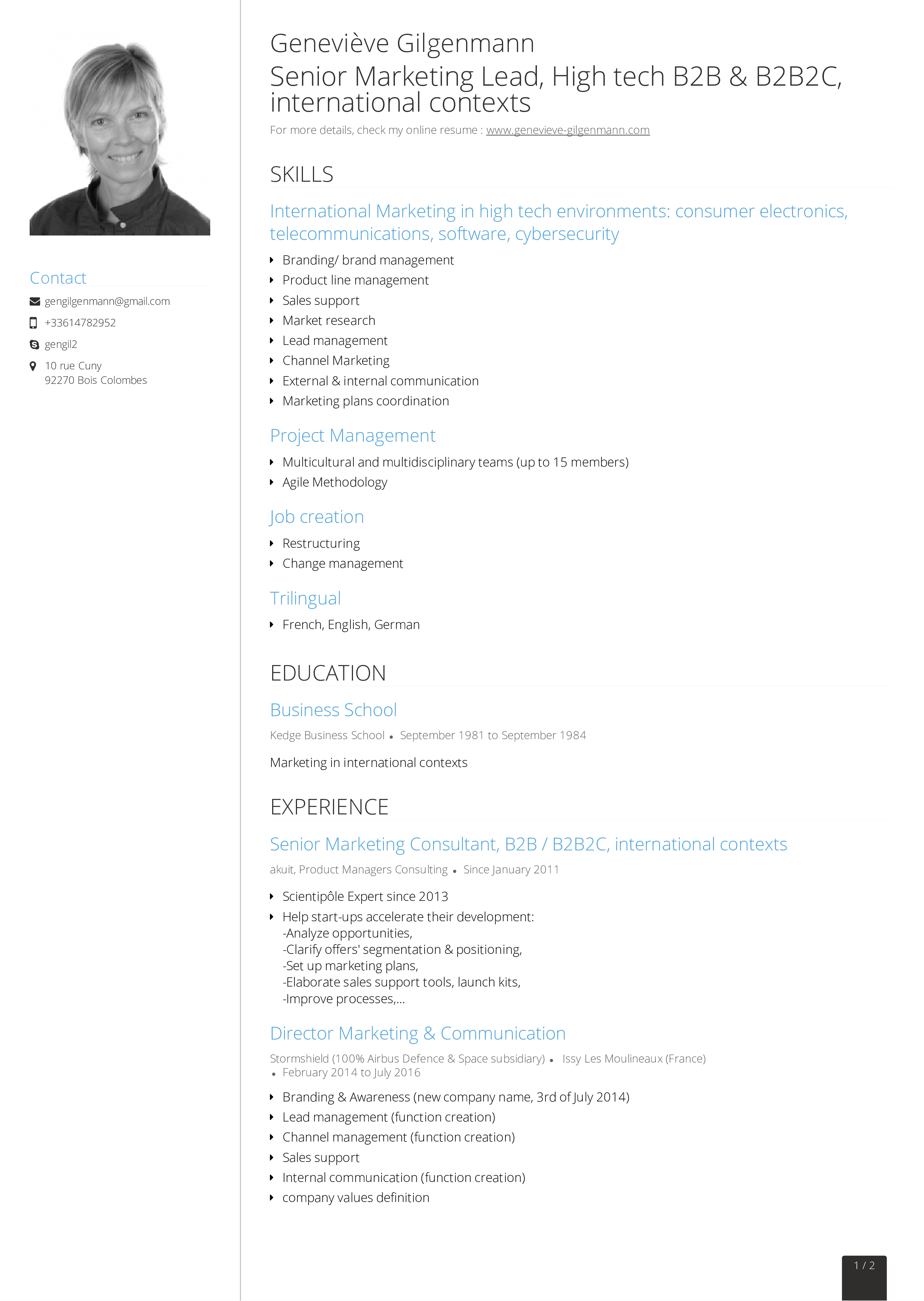 senior marketing consultant resume plantilla imagen principal