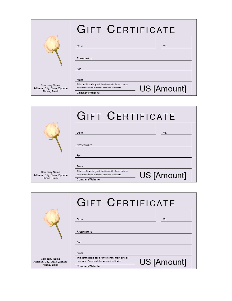 Donation Gift Certificate main image