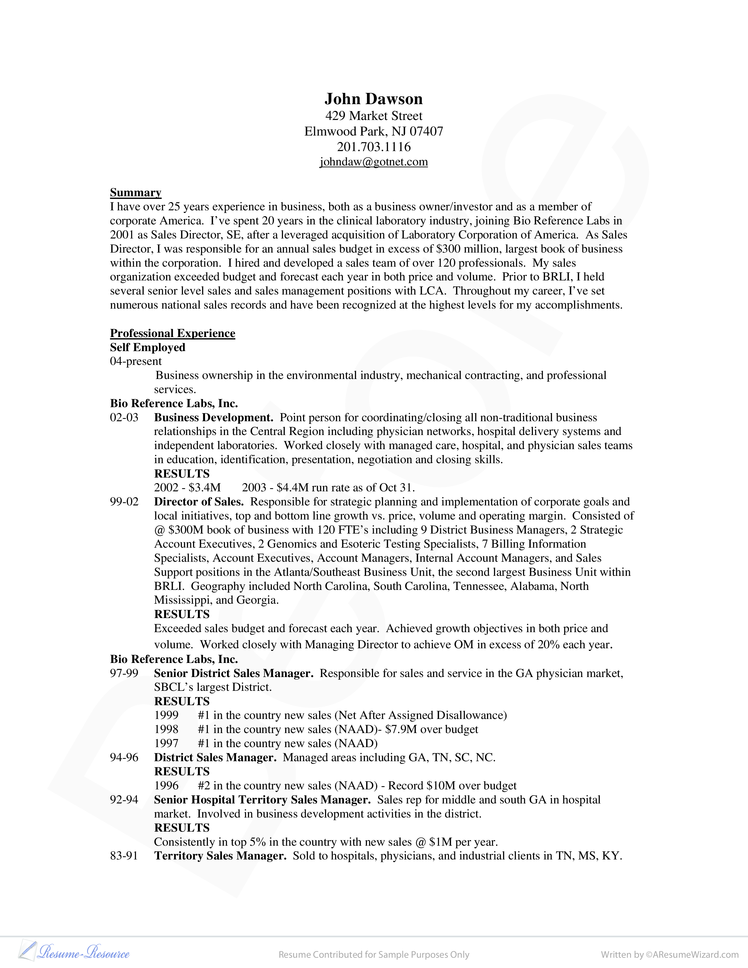 Sales Executive CV main image