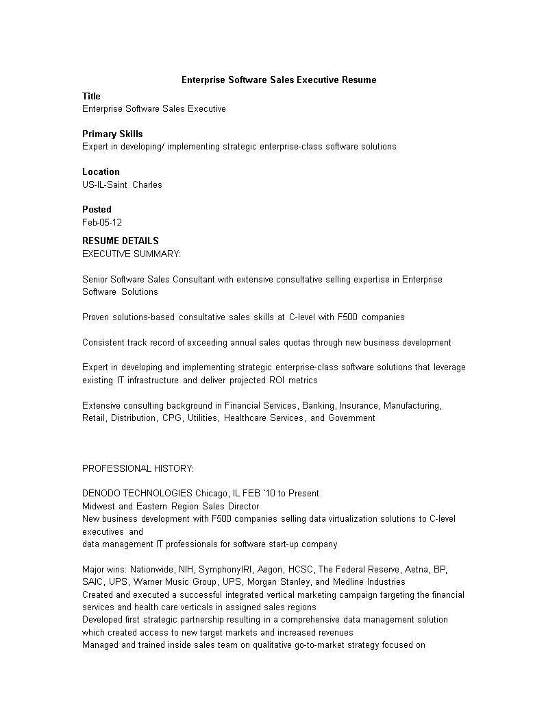 sales executive resume for strategic enterprise software provider modèles