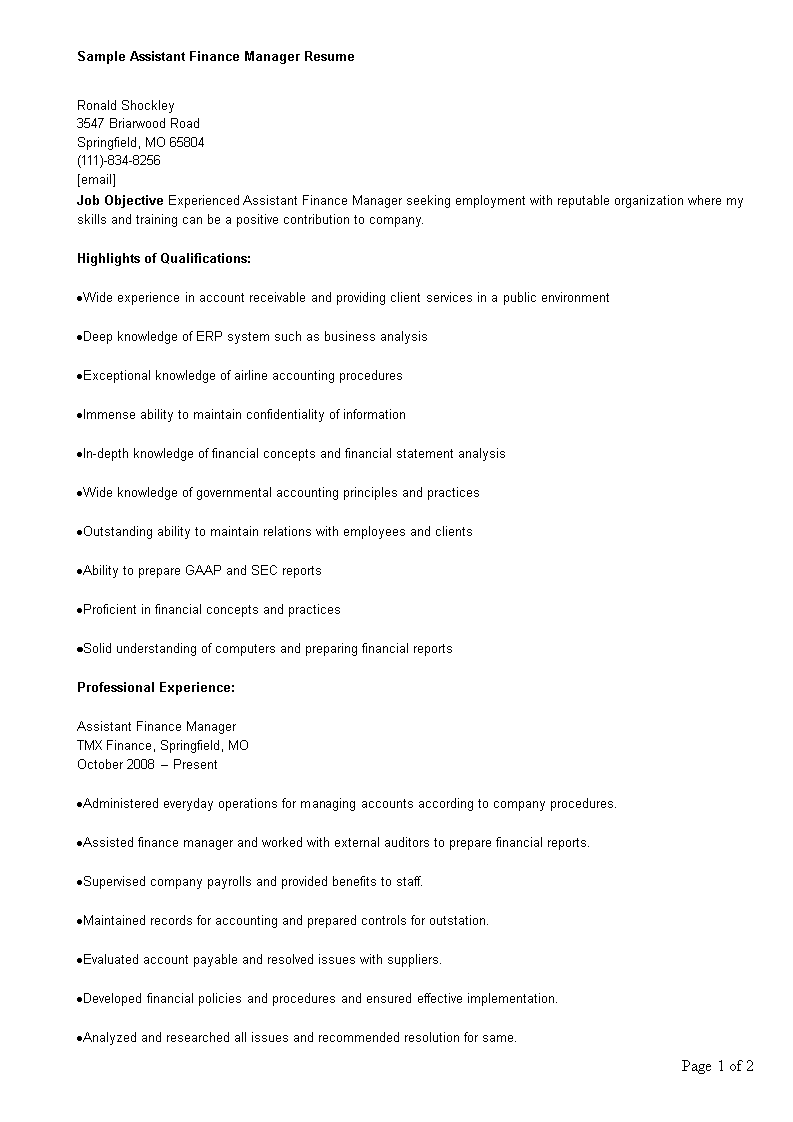 Assistant Finance Manager Resume main image
