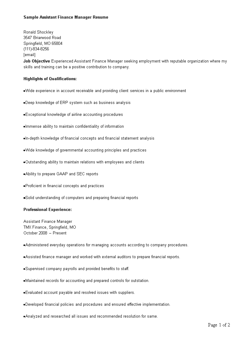 assistant finance manager resume plantilla imagen principal