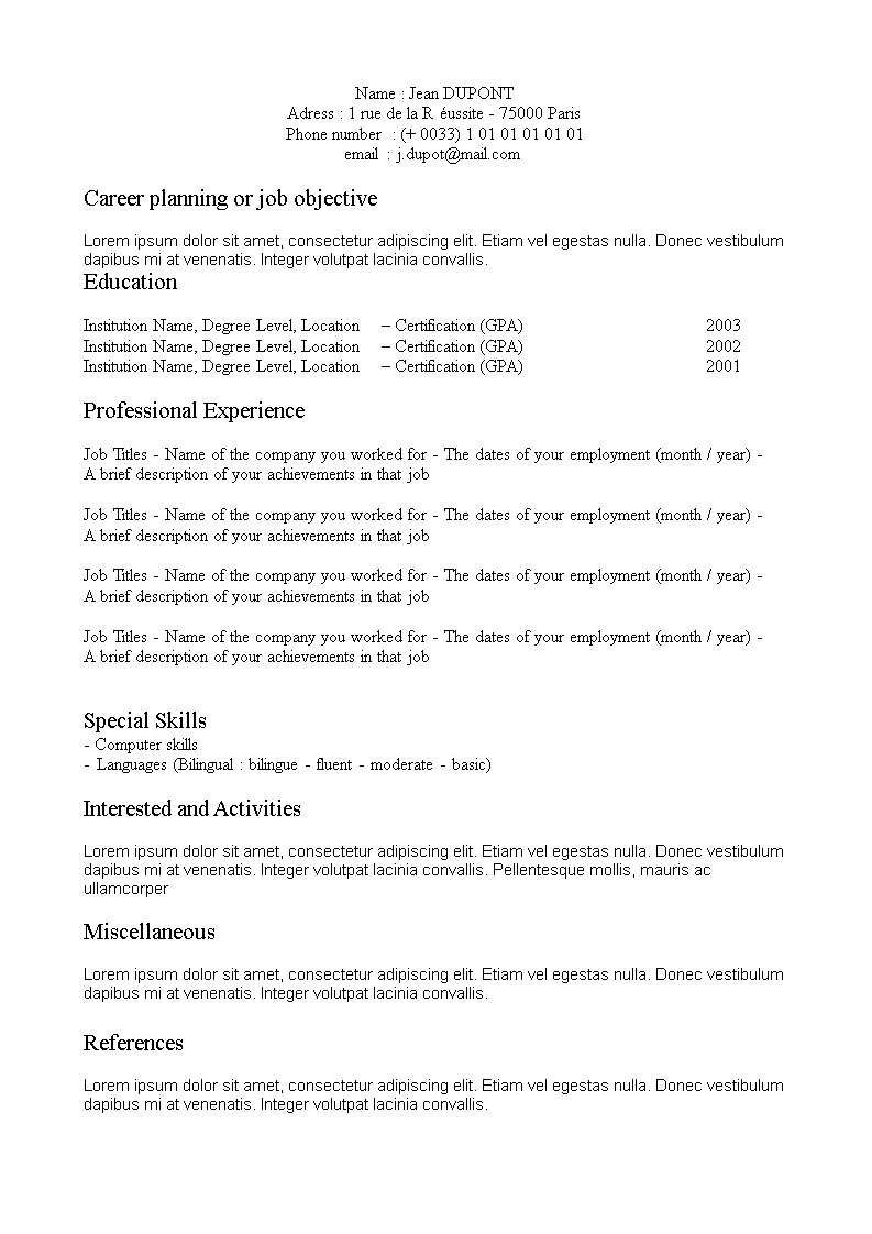 experience professional resume format template