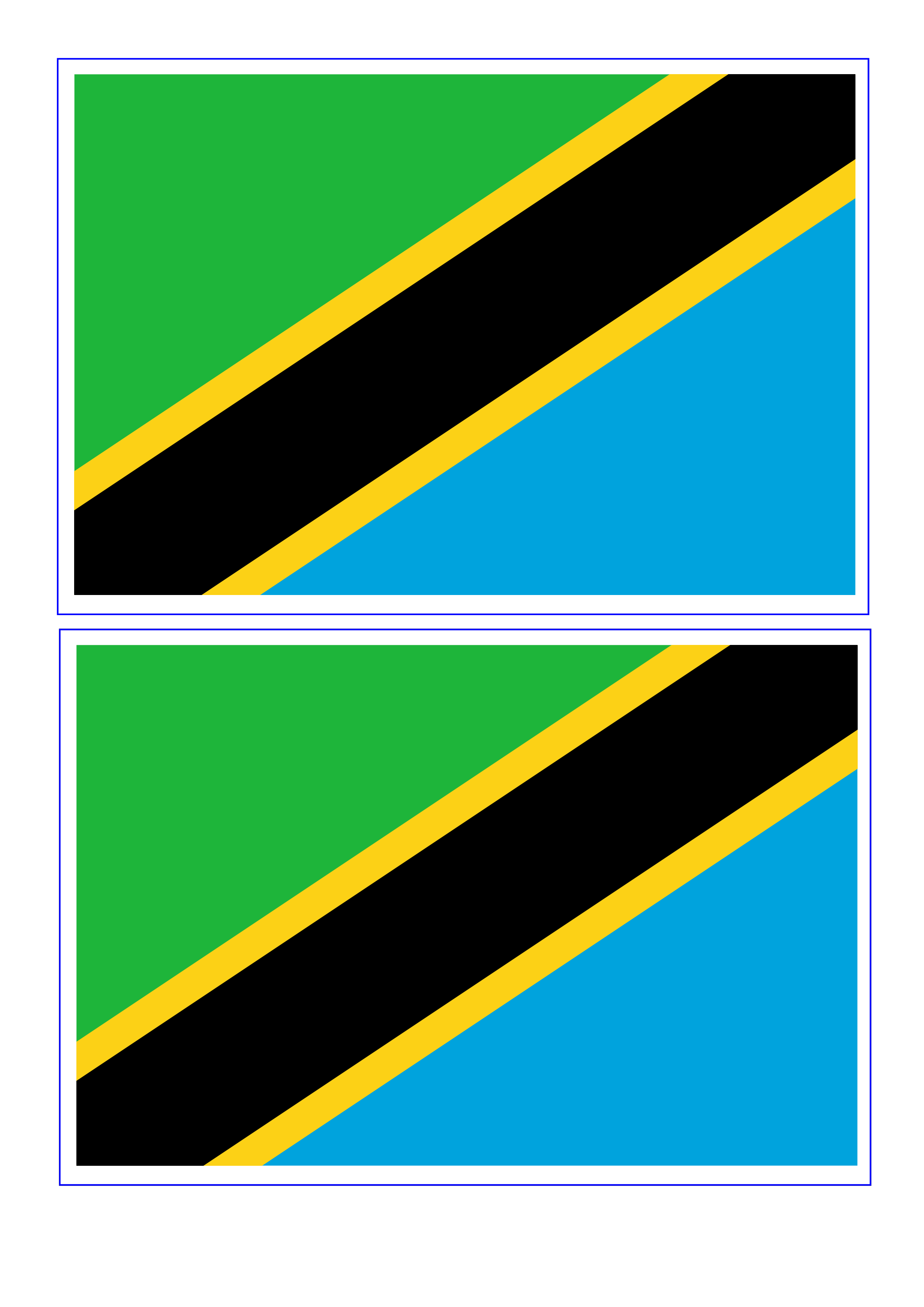 tanzania flag template