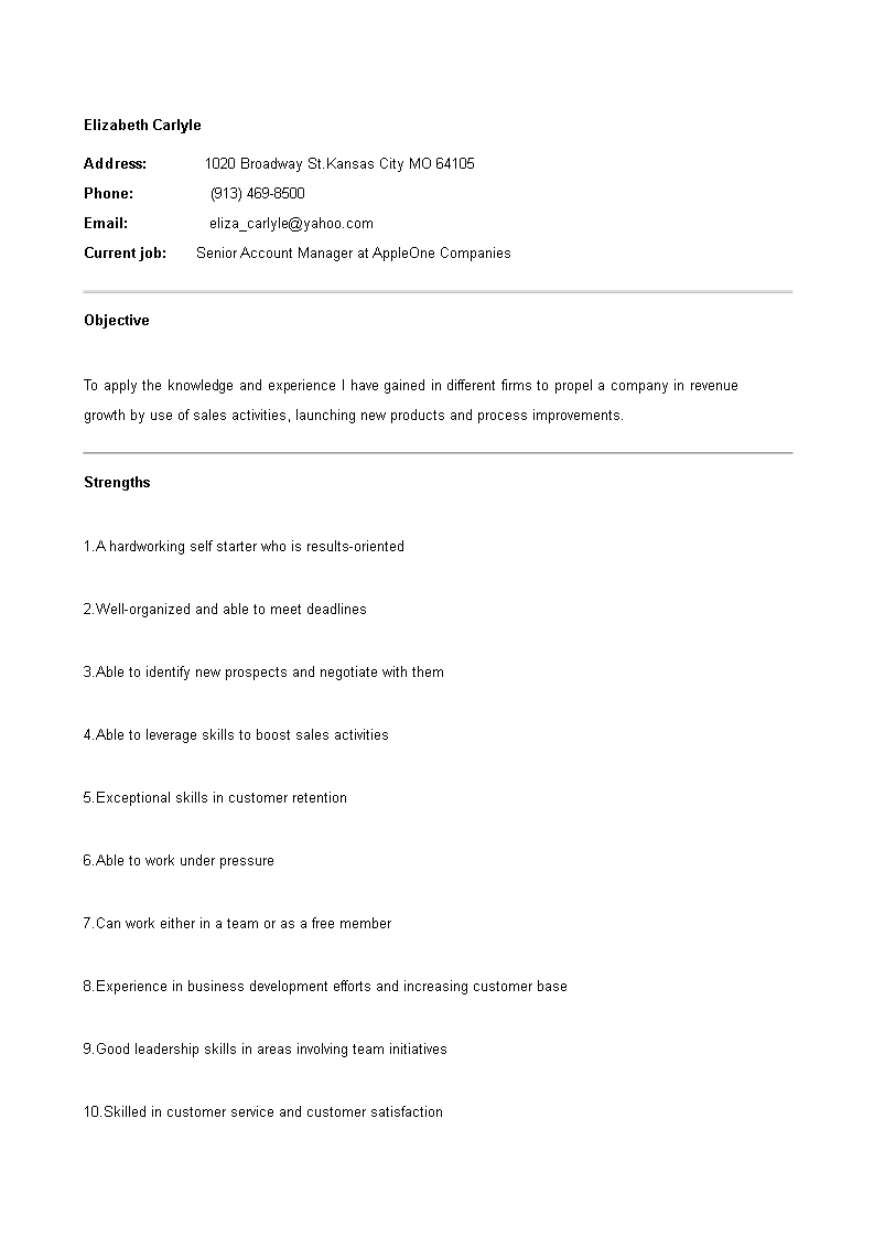 Sales Account Manager CV main image