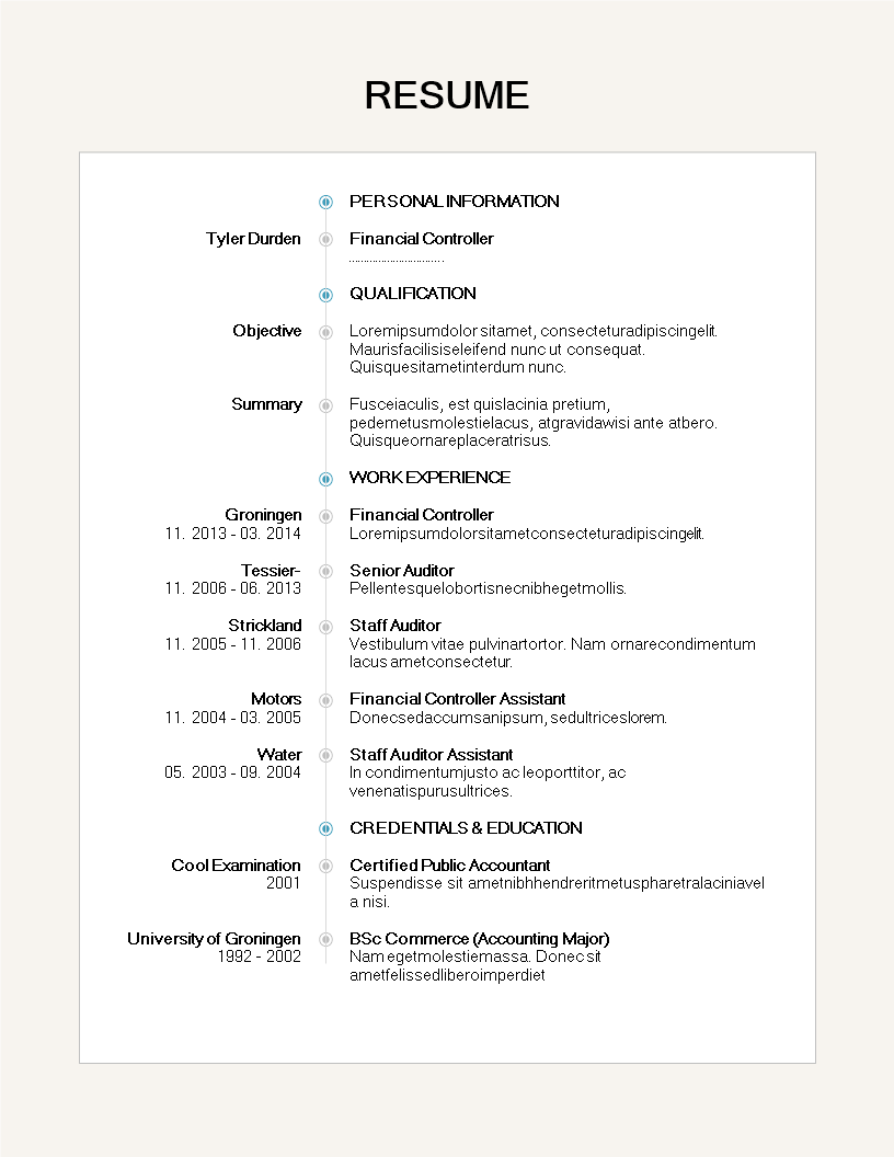 creative resume financial professional Hauptschablonenbild