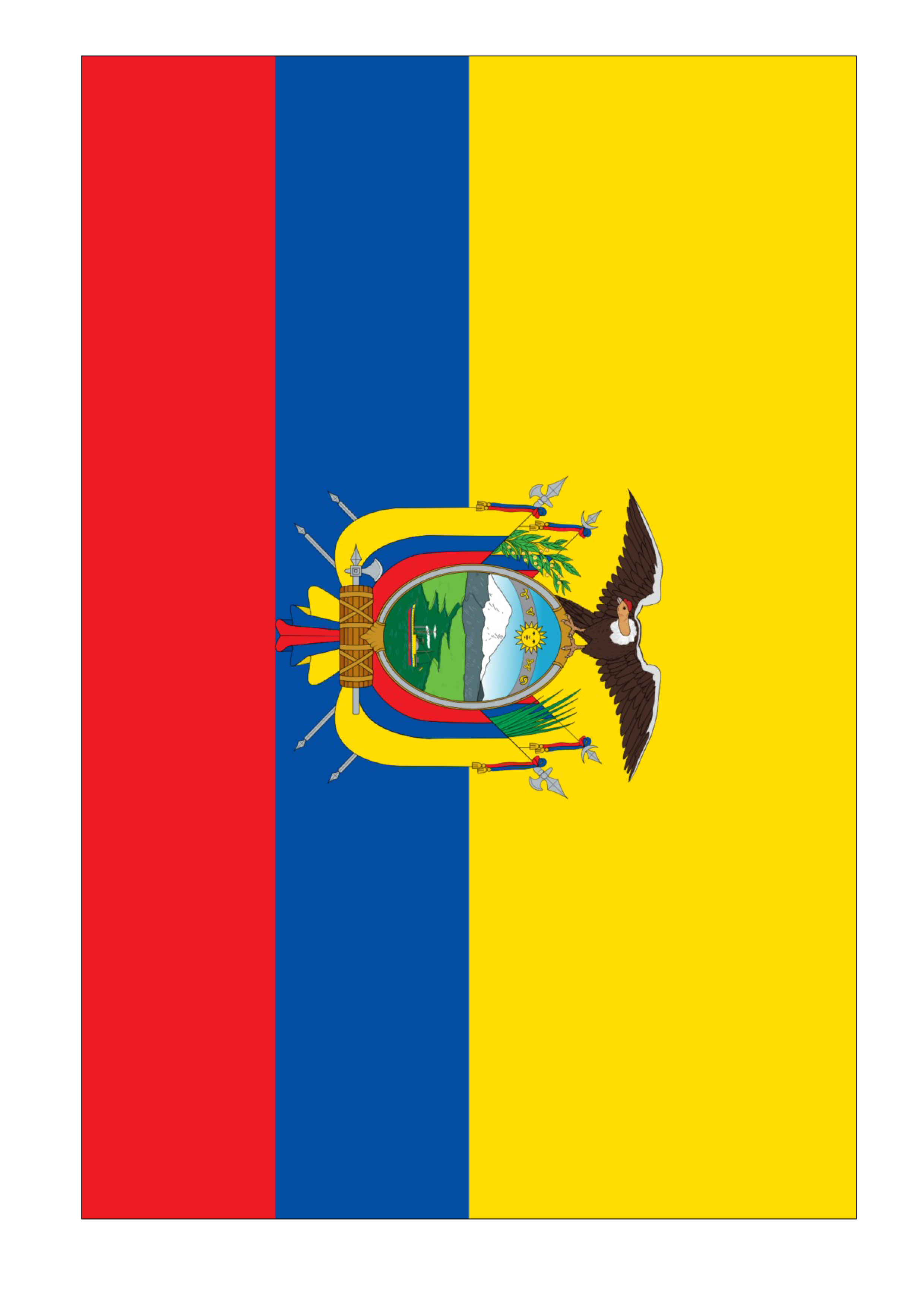 ecuador flag voorbeeld afbeelding 