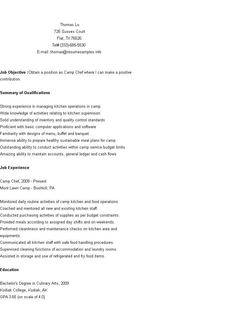 camp cook curriculum vitae template