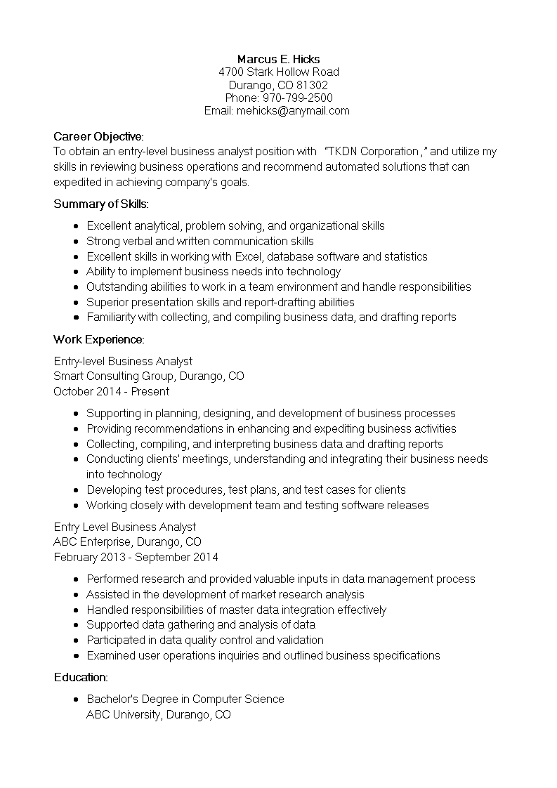 Entry Level Business Analyst IT Resume 模板
