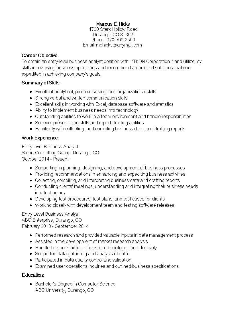 Entry Level Business Analyst IT Resume main image