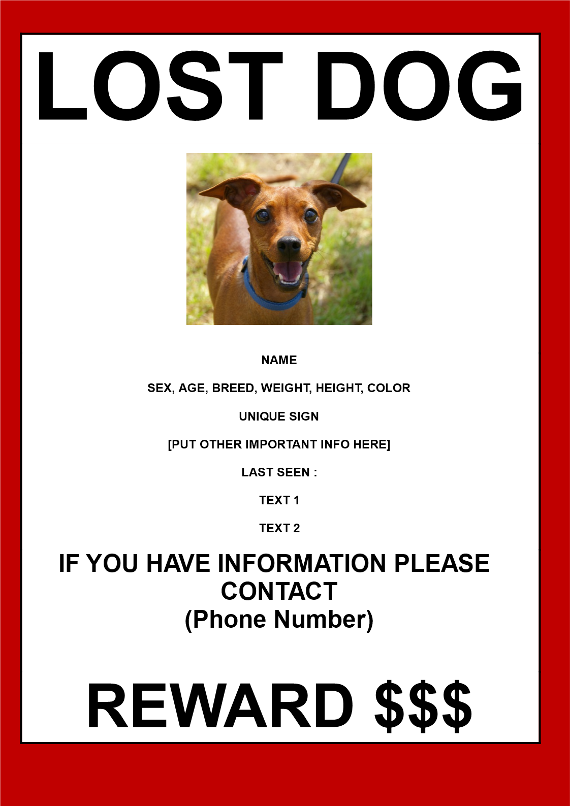 printable-lost-dog-poster-template-printable-templates