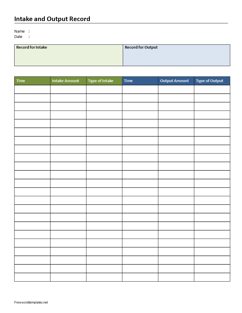 Intake And Output Record 模板