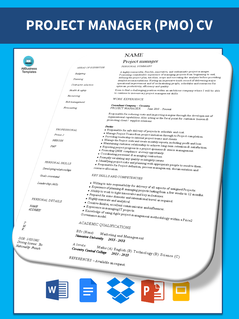 curriculum vitae project manager template