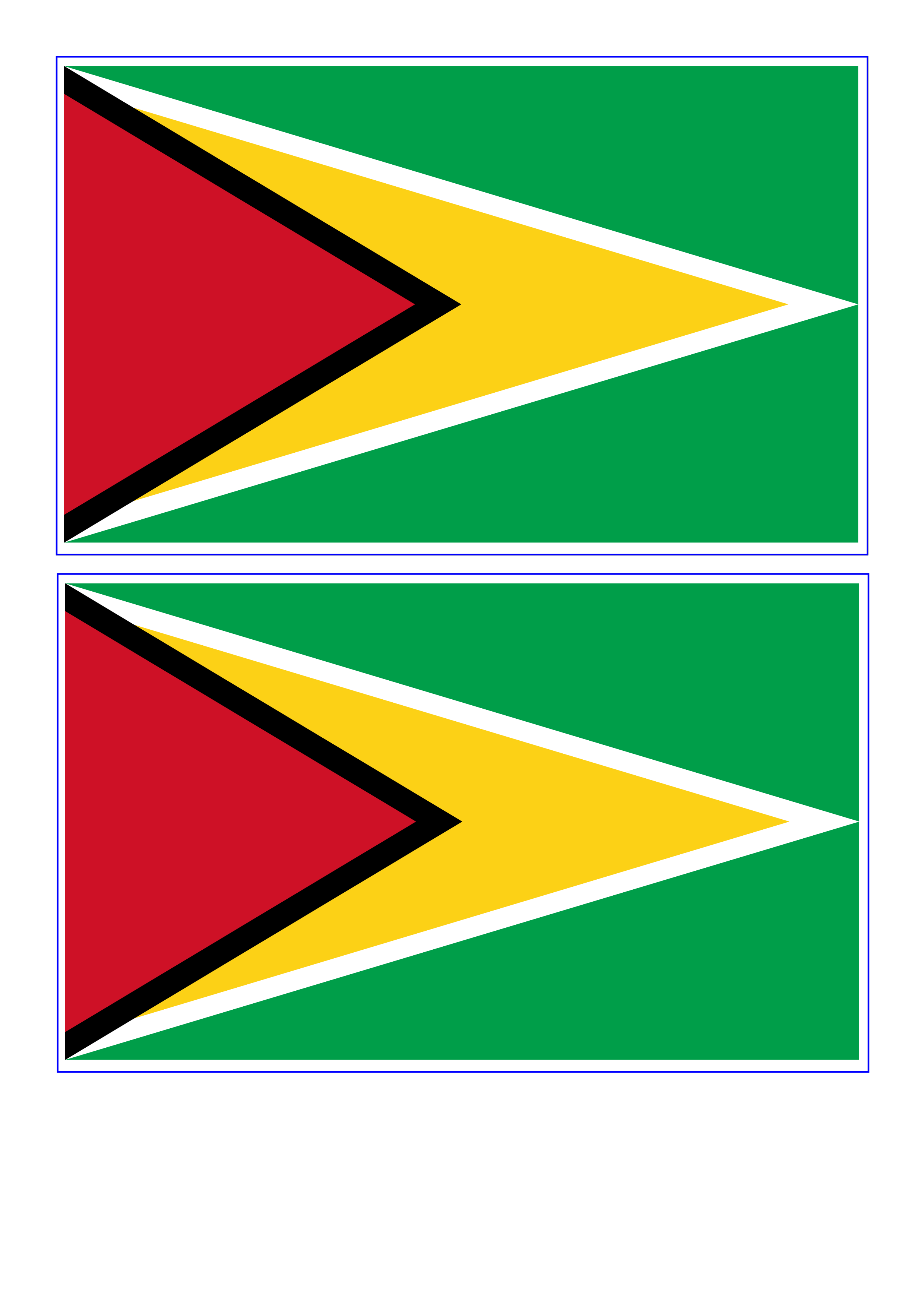 guyana flag template