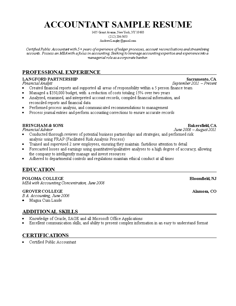 accountant curriculum vitae example template