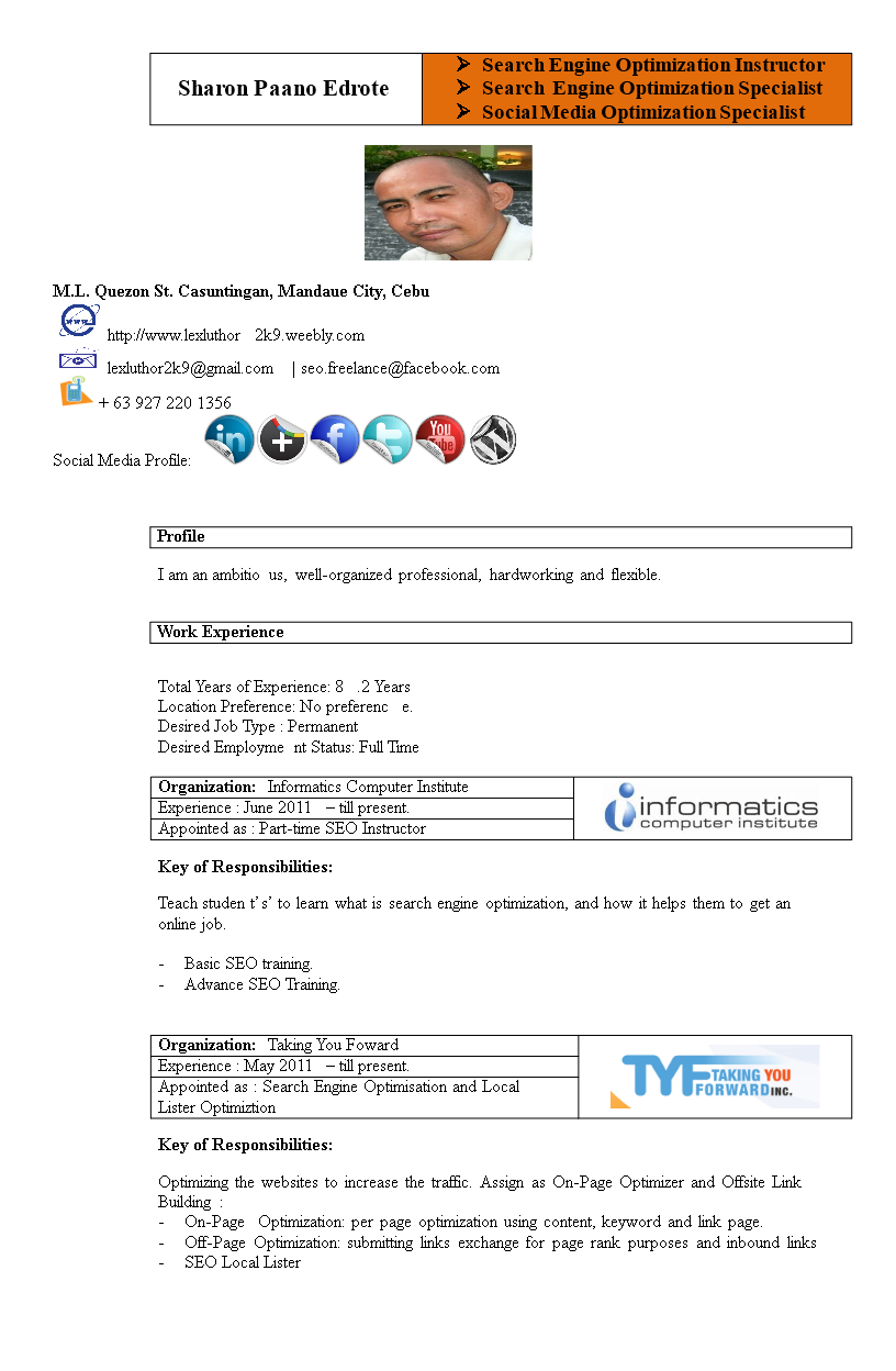 professional seo executive resume template