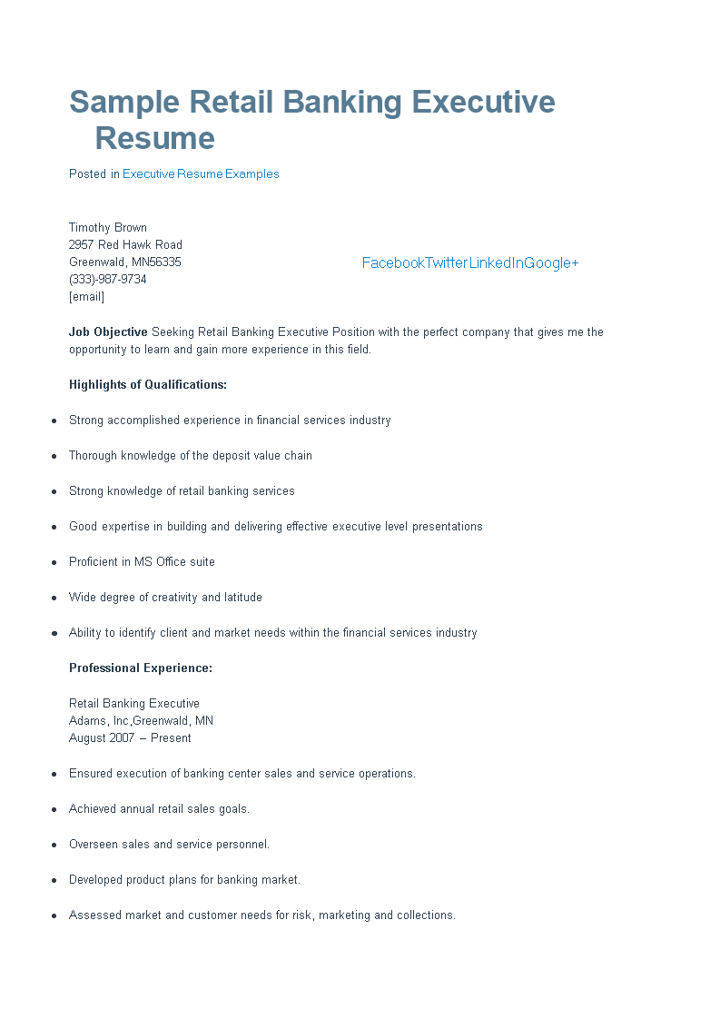 Retail Banking Executive CV template main image