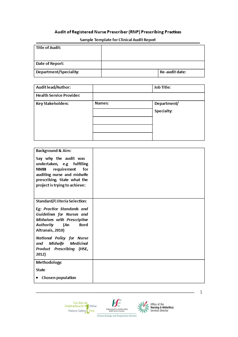 clinical audit template