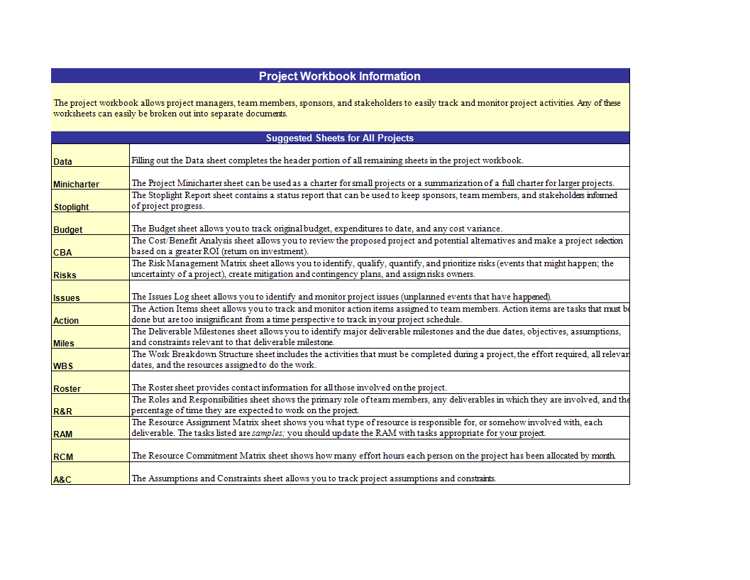 Project Workbook Information Sheet 模板