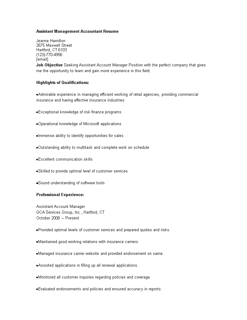 assistant management accountant resume template Hauptschablonenbild