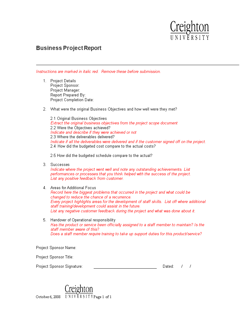 business project report template