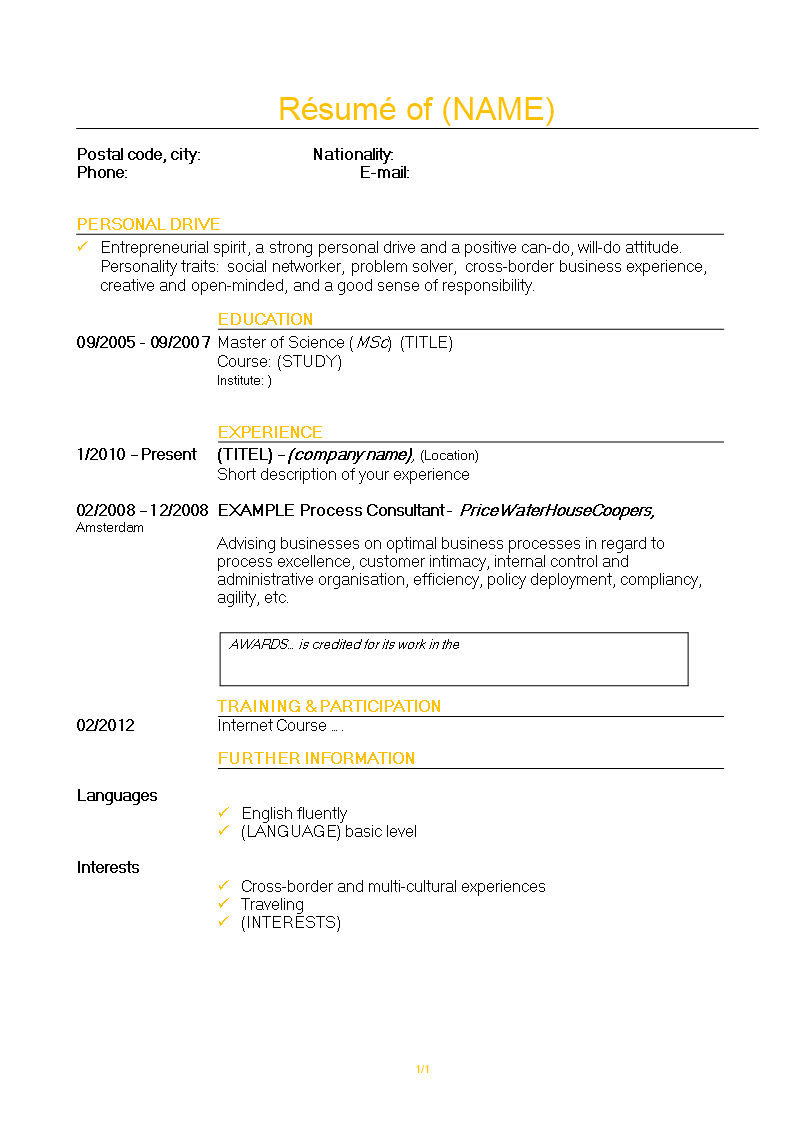 consultant resume template Hauptschablonenbild