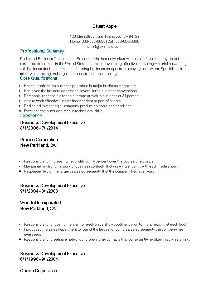 Software Business Development Executive Resume main image