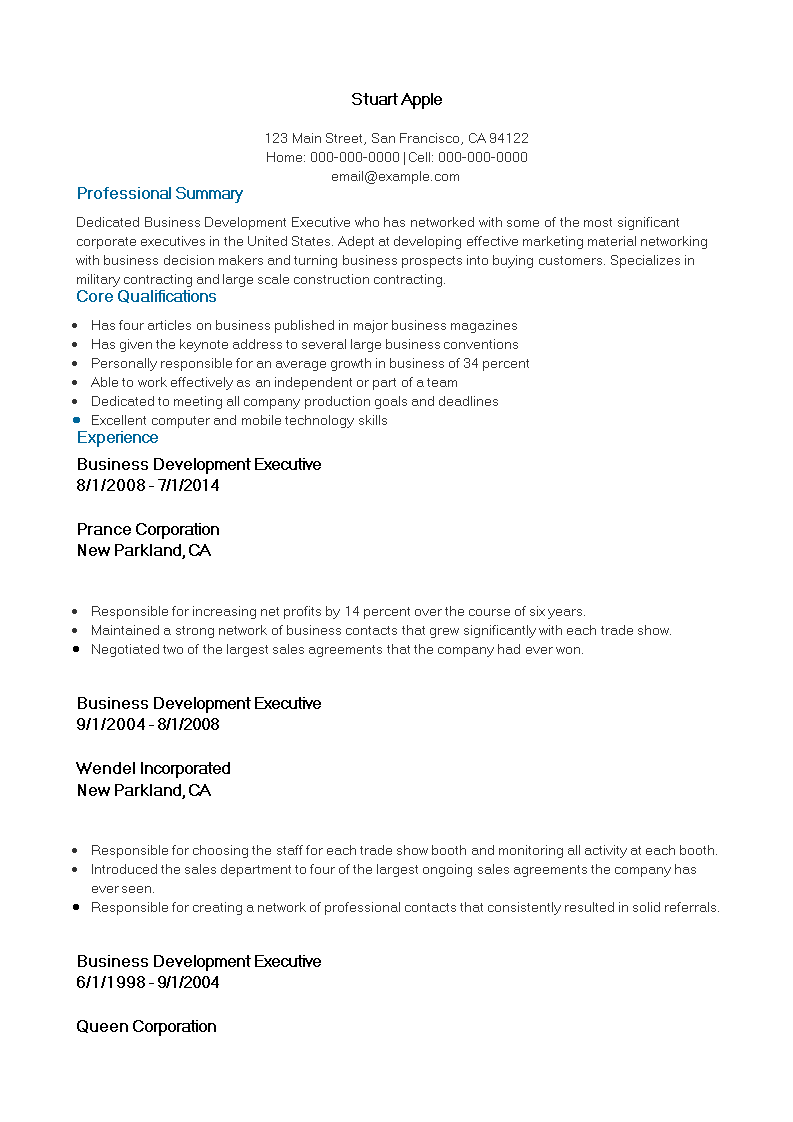 software business development executive resume plantilla imagen principal