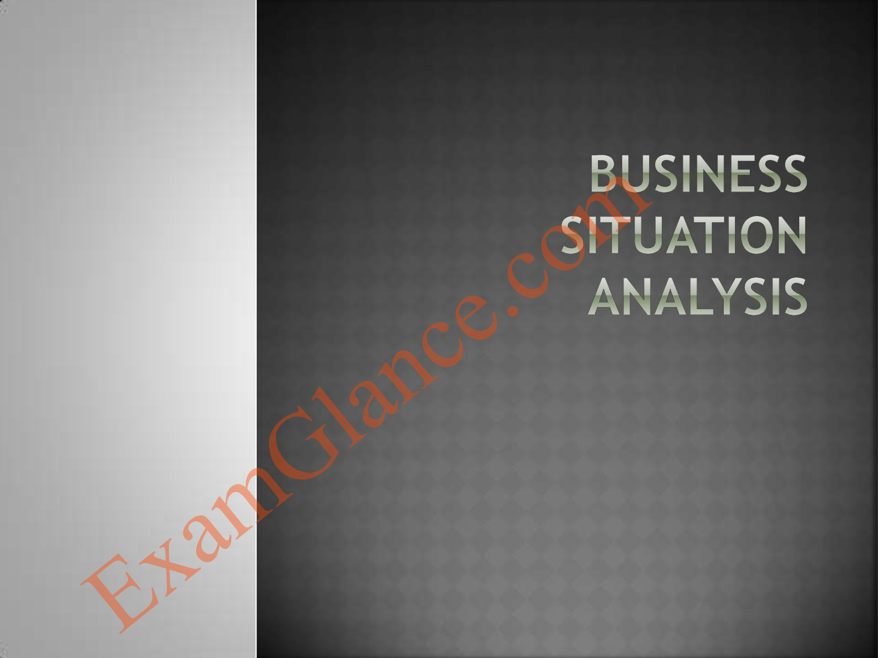 Business Situation Analysis 模板