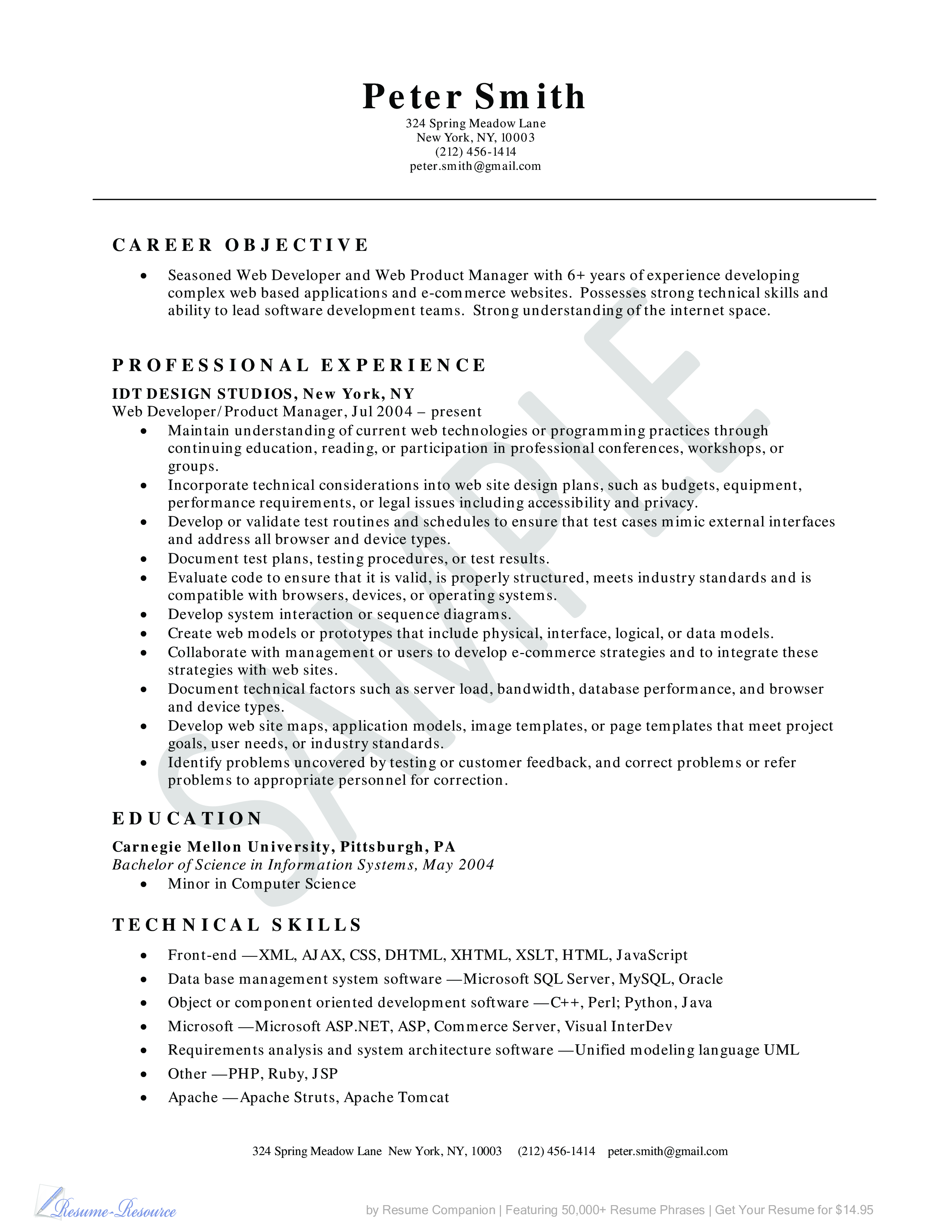 Web Developer Resume Example 模板