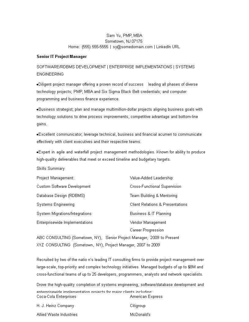 Software Development Manager Resume 模板