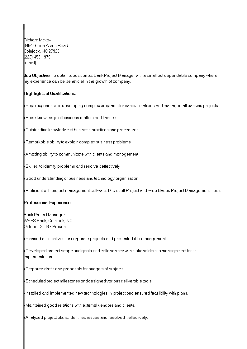 banking project manager curriculum vitae template