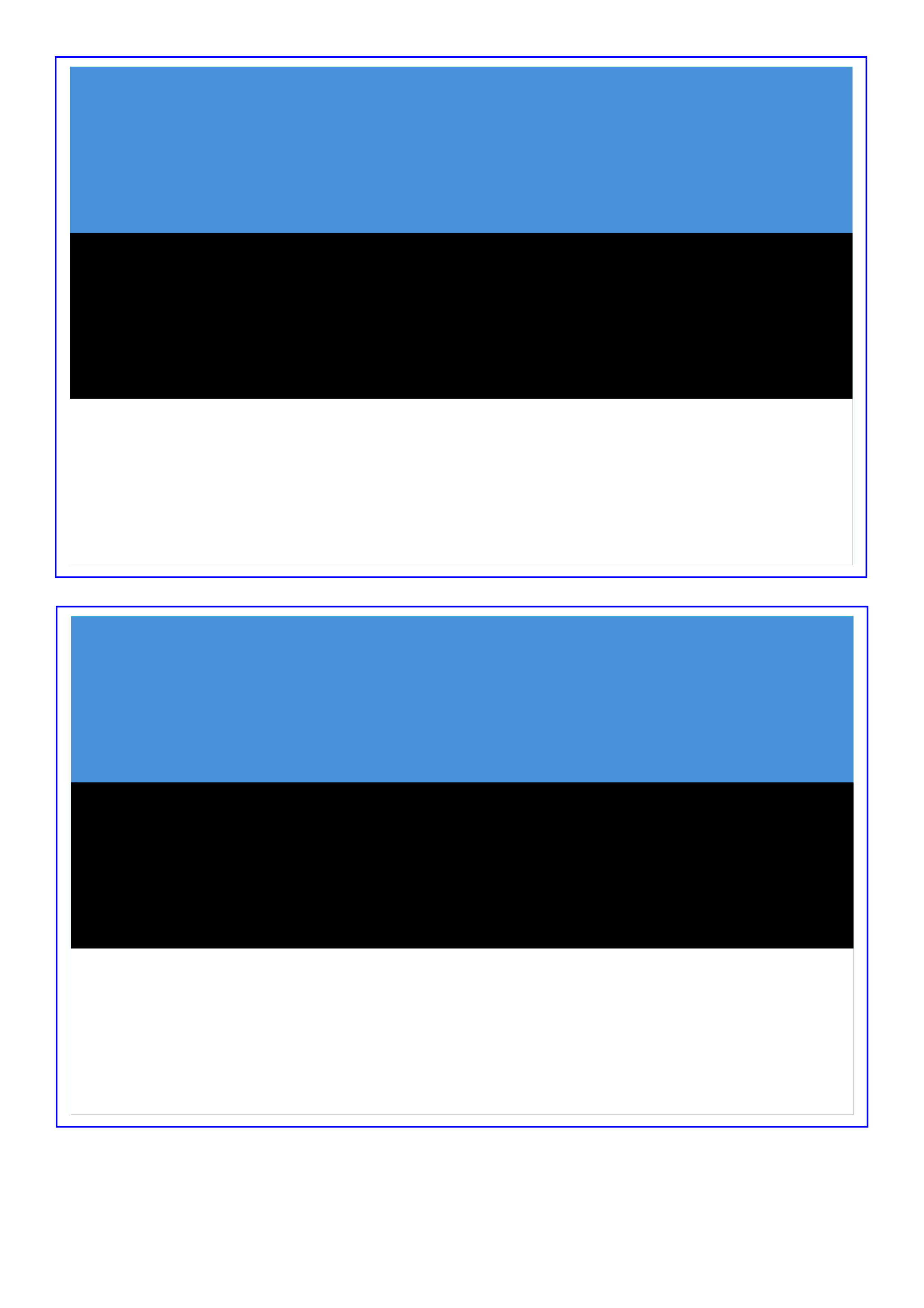 Estonia Flag 模板