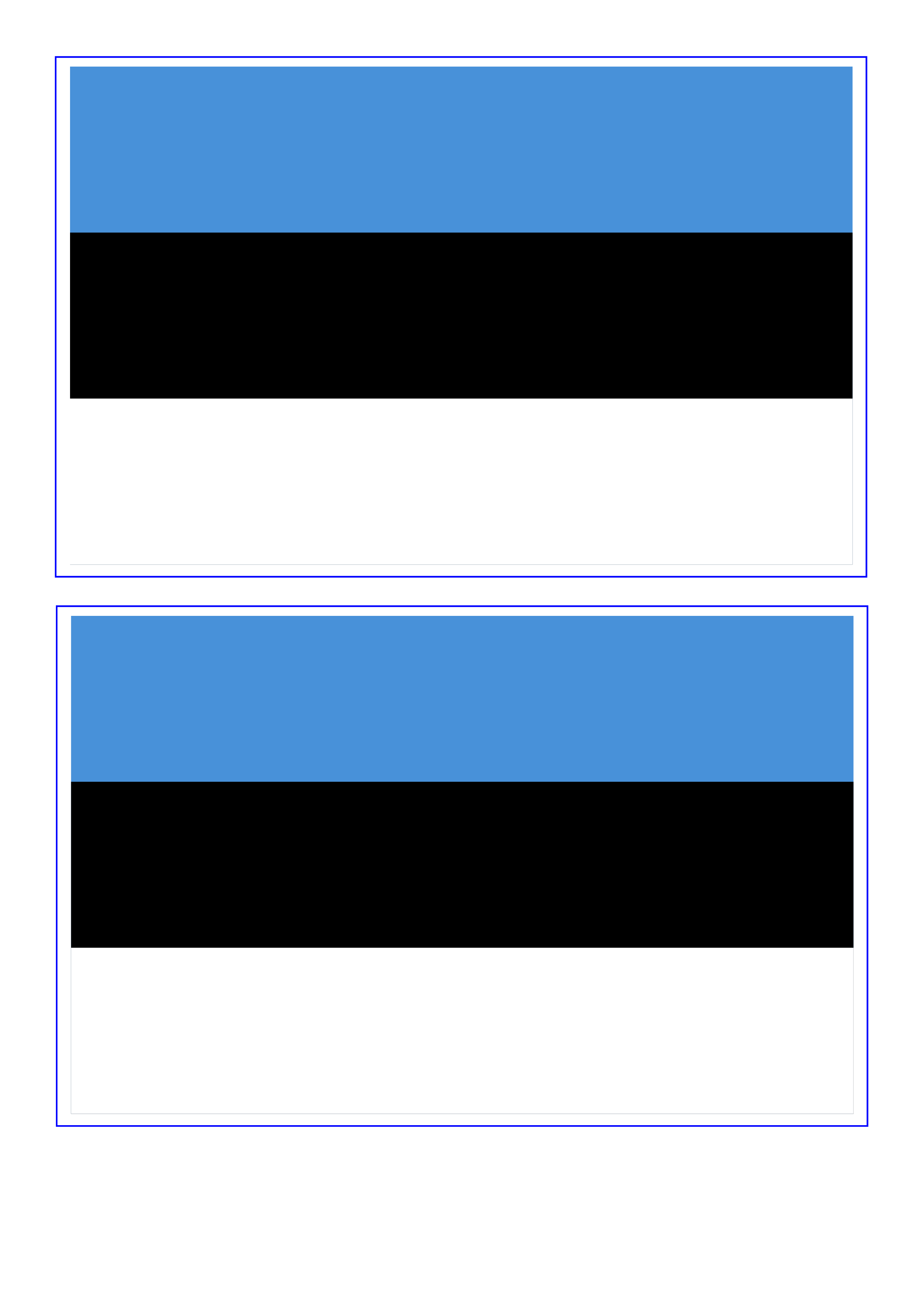 Estonia Flag main image