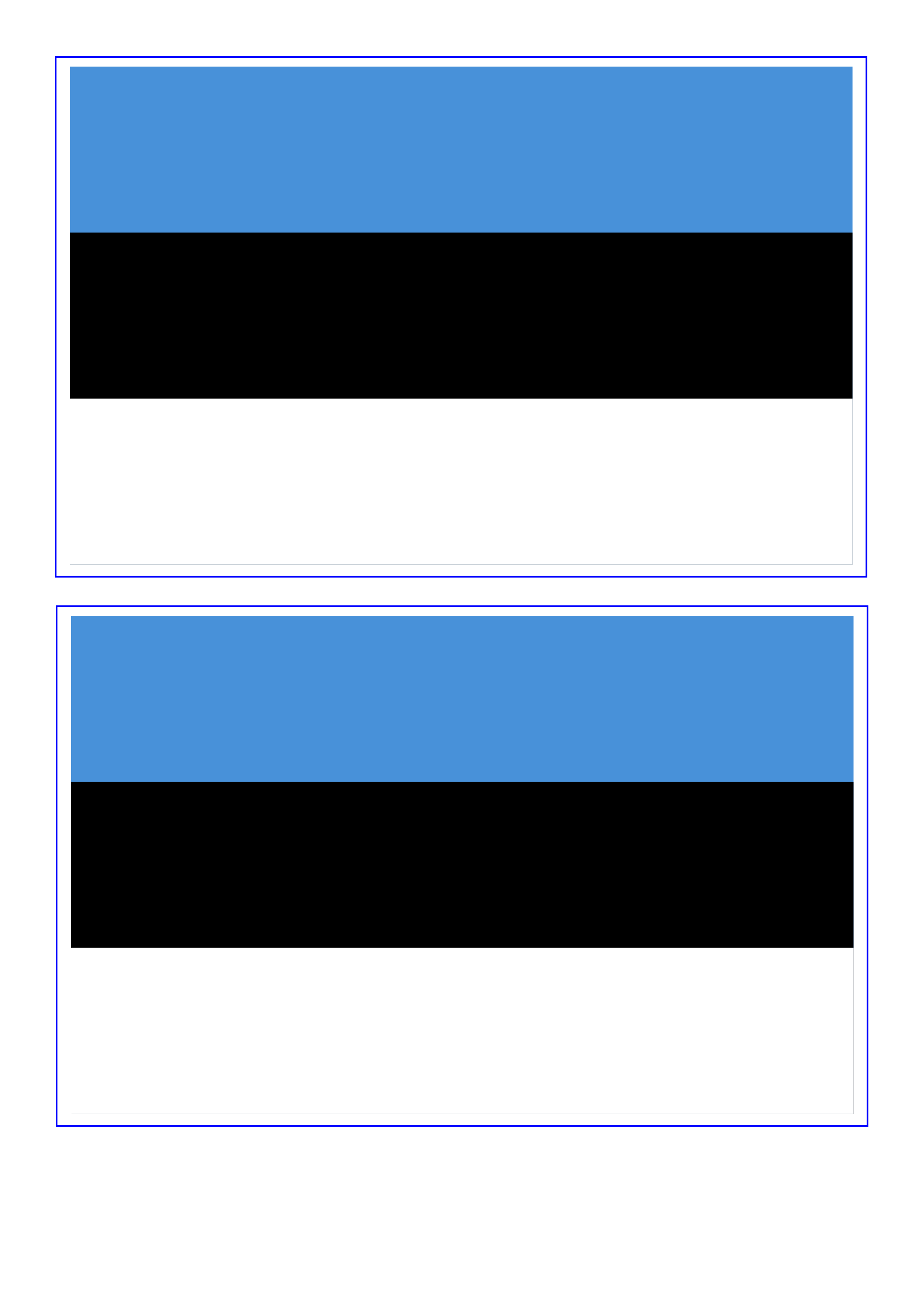 Estonia Flag 模板