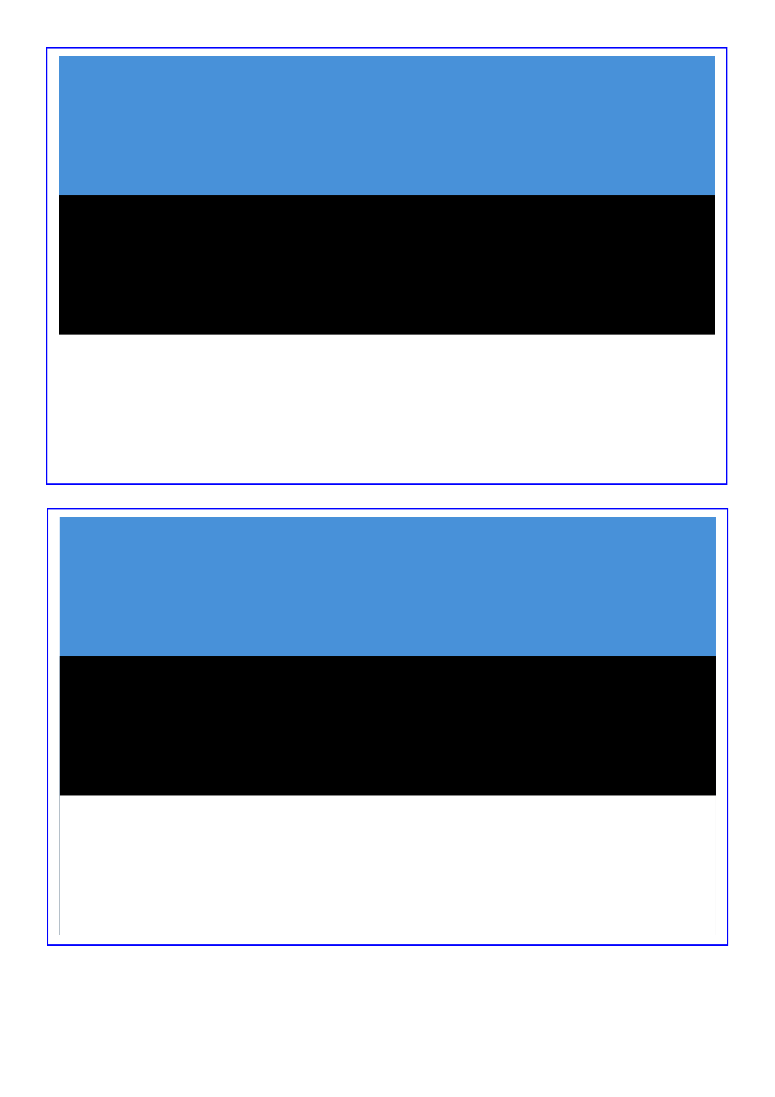 Estonia Flag Templates at