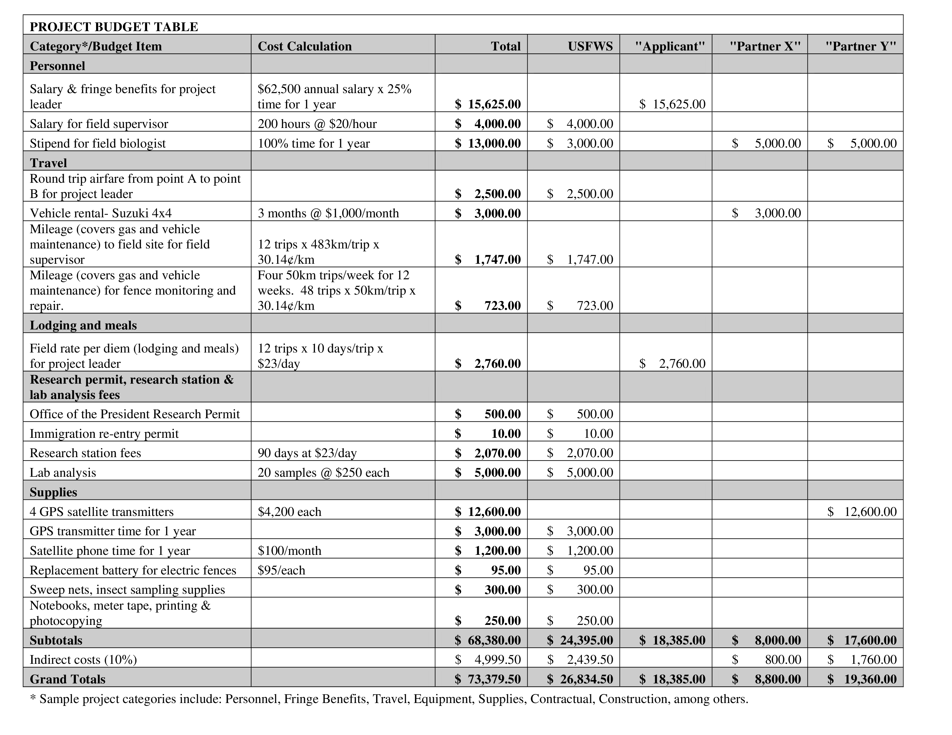 IT Project Budget Table Example in PDF Format Gratis