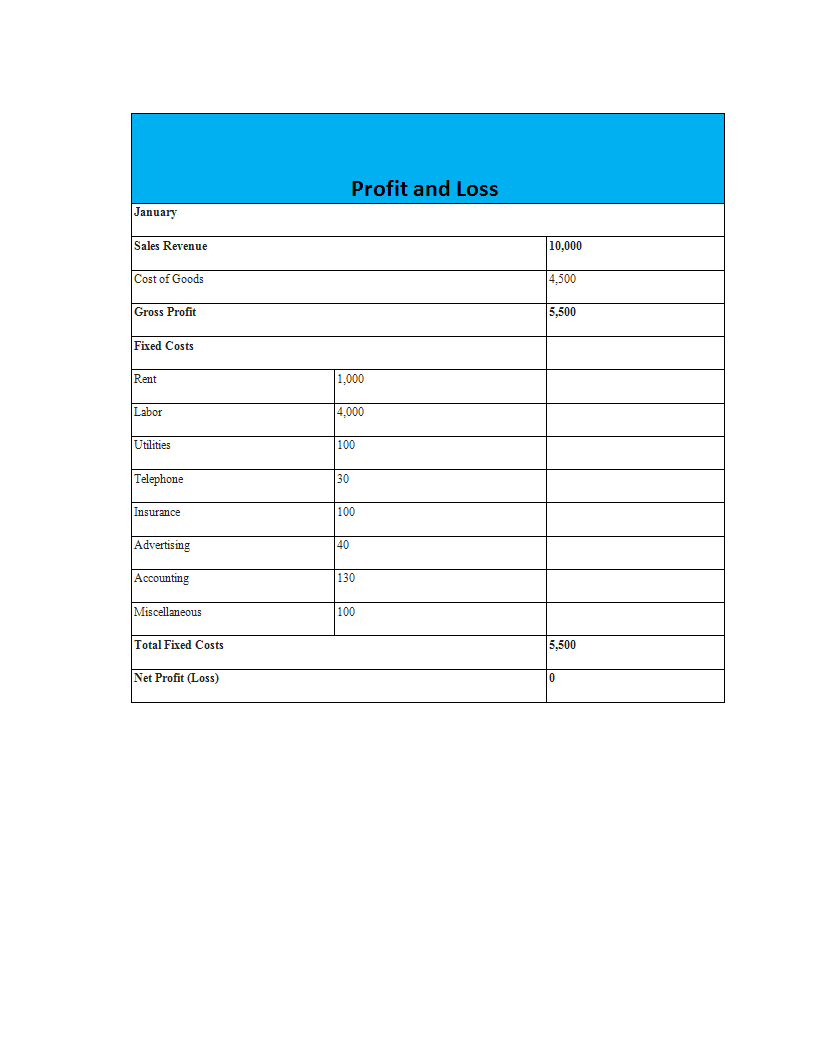 Profit and Loss (P&L) Sheet 模板