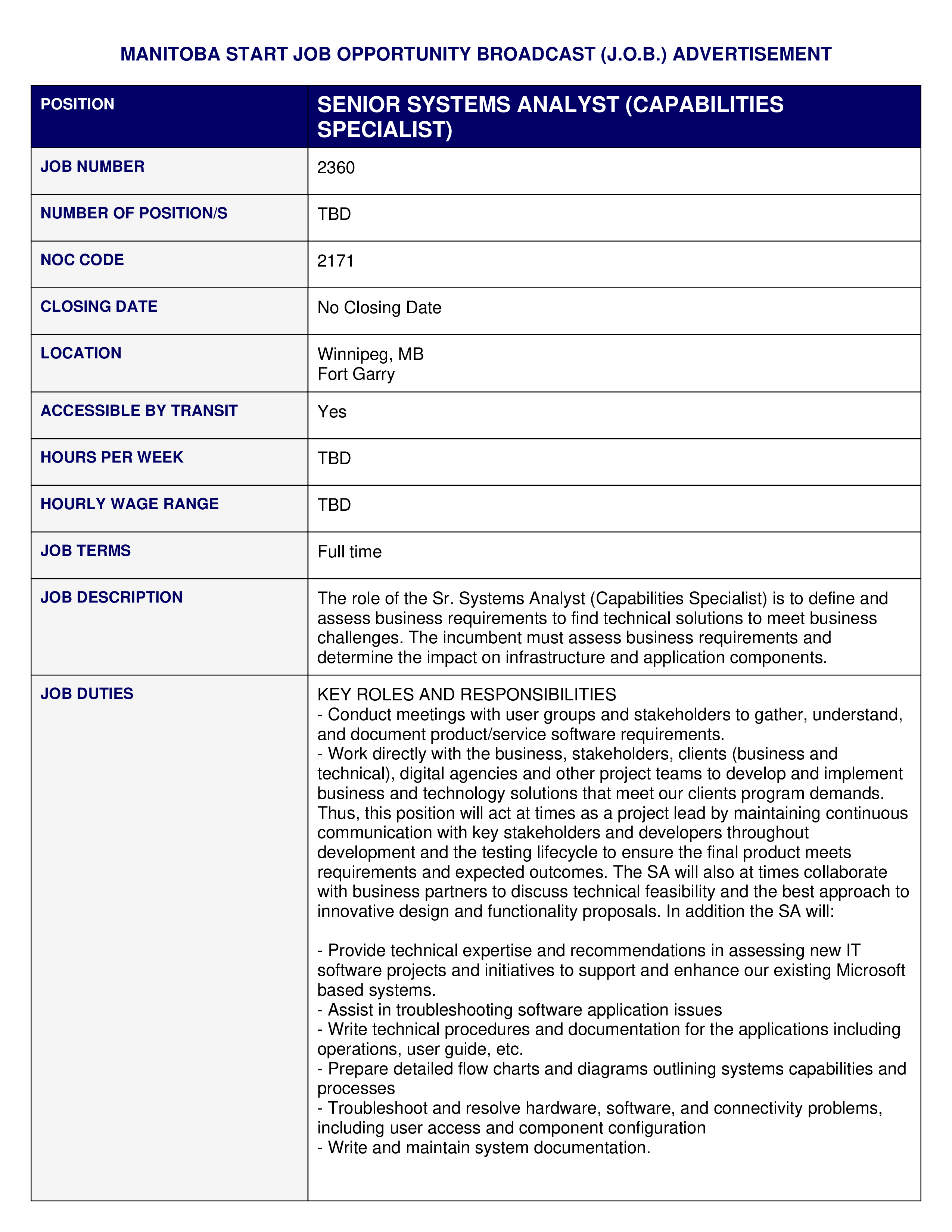 Computer system analyst job description tn visa